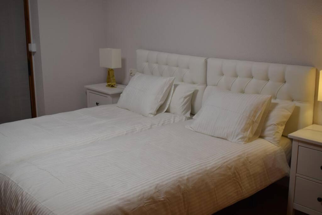 Disfruta En Duplex A 350m De La Catedral *