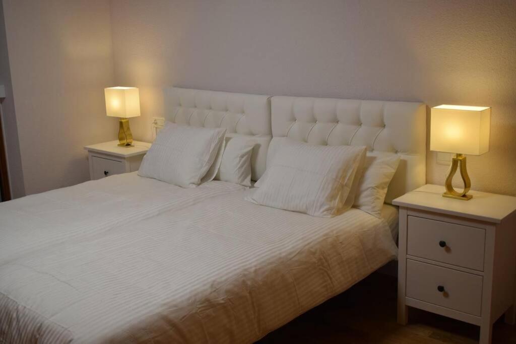 Disfruta En Duplex A 350m De La Catedral